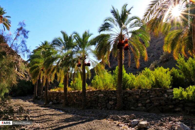عنوان پست ۱